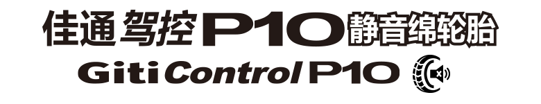 GitiControl P10 GMS